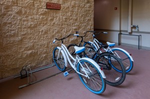 One Bedroom Apartments for Rent in Houston, TX - Bike Rentals      